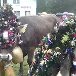 Schusterhof *