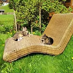 Schusterhof Farm stay Mittelberg