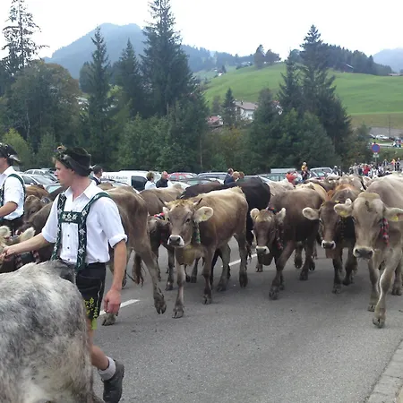 Schusterhof Agroturismo Mittelberg