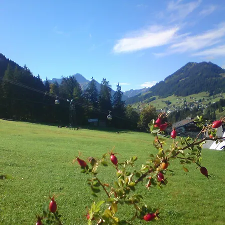 Schusterhof *
