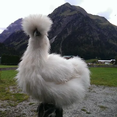 Agroturismo Schusterhof *