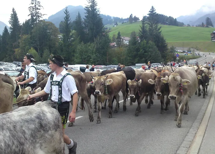 Schusterhof Agroturismo Mittelberg